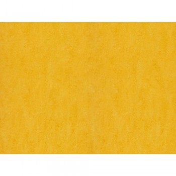 Линолеум Forbo Marmoleum Real 3251 lemon zest